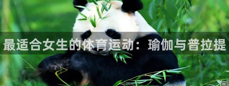 球速体育哪个更好