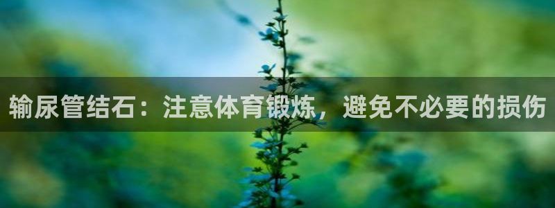 球速体育运行几年了
