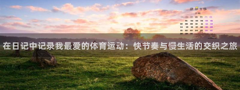 球速体育集团