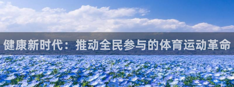球速体育输入x655 in