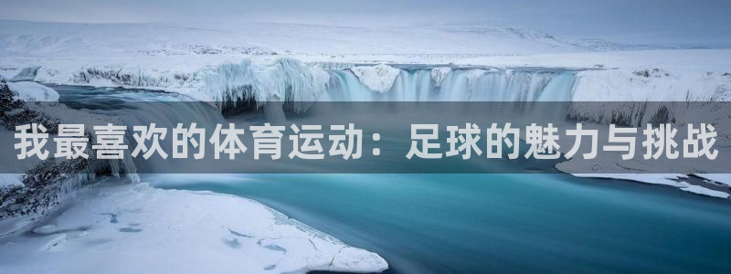 球速体育点1267碘top：我最喜欢的体育运动：足球的魅力与挑战