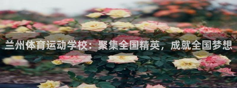 球速体育下载