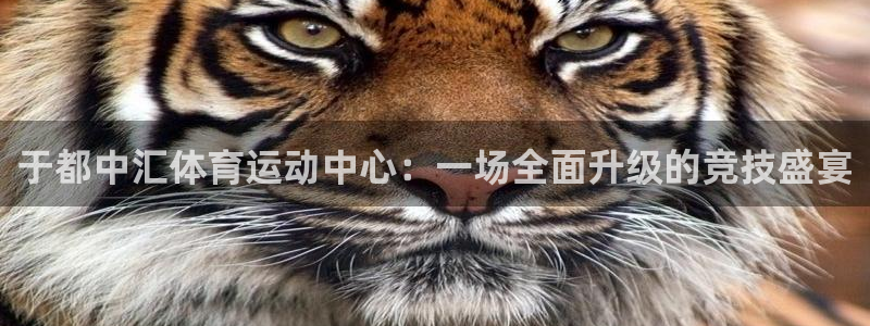 球速体育首页：于都中汇体育运动中心：一场全面升级的竞技盛宴
