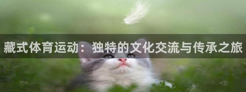 球速体育官网：藏式体育运动：独特的文化交流与传承之旅