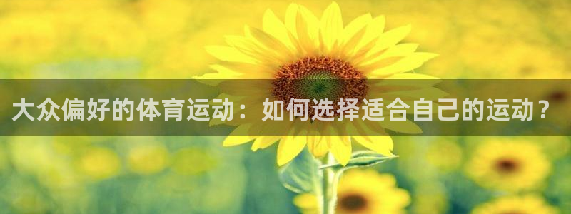 球速体育开设赌场