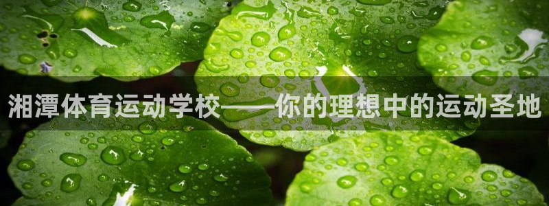 球速体育V11招办
