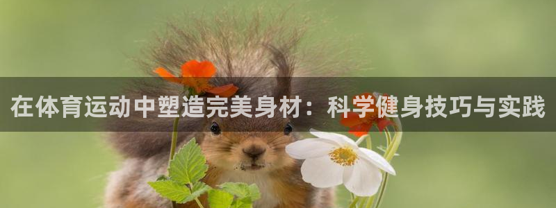 球速体育输钱