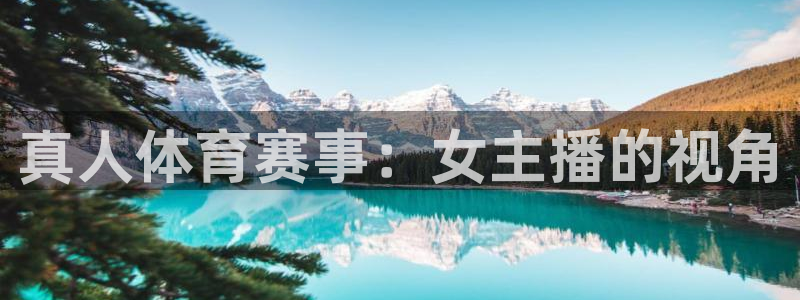 球速体育输入x655 in