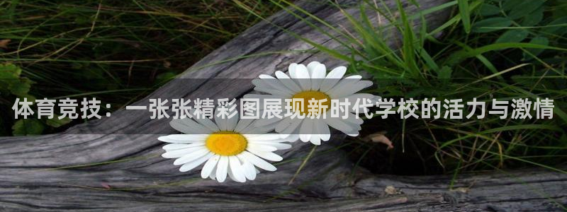 球速体育app
