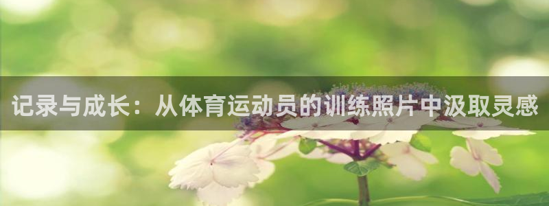 球速体育充值在哪里