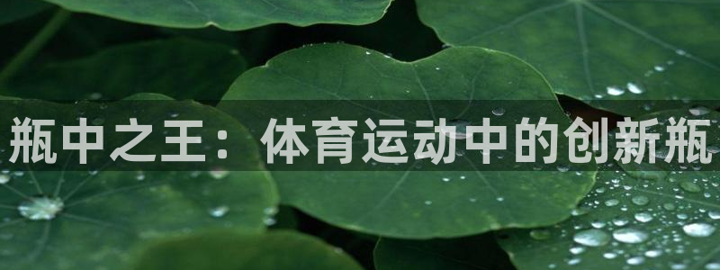 球速体育qiusu