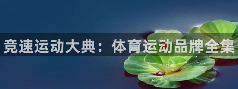 球速体育开了多久：竞速运动大典：体育运动品牌全集